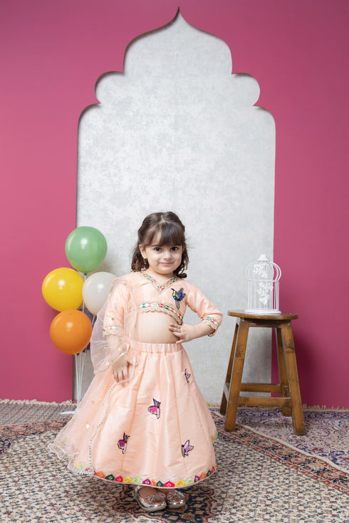 BIRD/BUTTERFLY RAW SILK LEHENGA