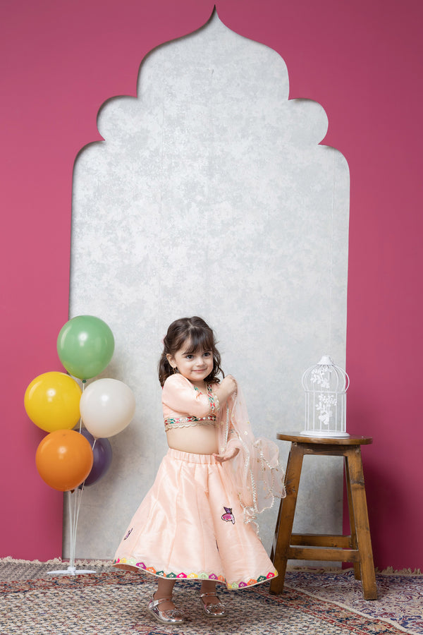 BIRD/BUTTERFLY RAW SILK LEHENGA