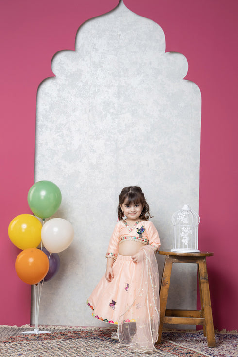 BIRD/BUTTERFLY RAW SILK LEHENGA