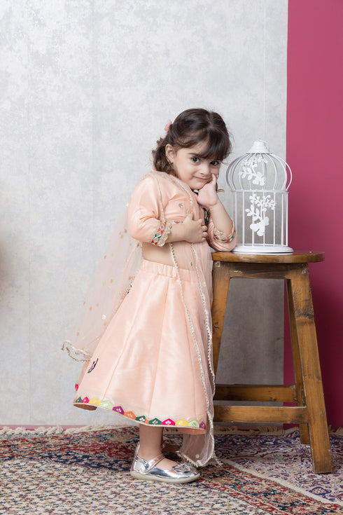 BIRD/BUTTERFLY RAW SILK LEHENGA