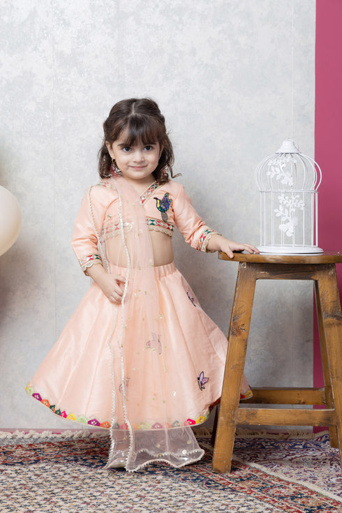 BIRD/BUTTERFLY RAW SILK LEHENGA