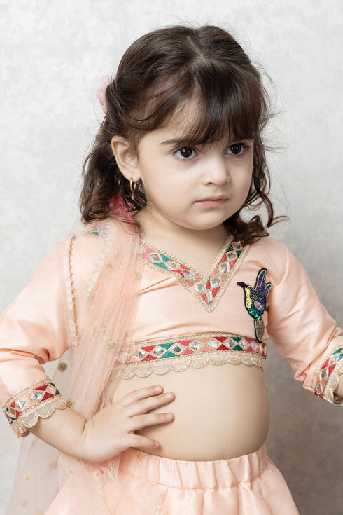 BIRD/BUTTERFLY RAW SILK LEHENGA