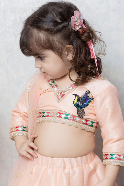 BIRD/BUTTERFLY RAW SILK LEHENGA