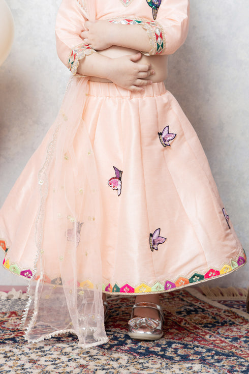 BIRD/BUTTERFLY RAW SILK LEHENGA