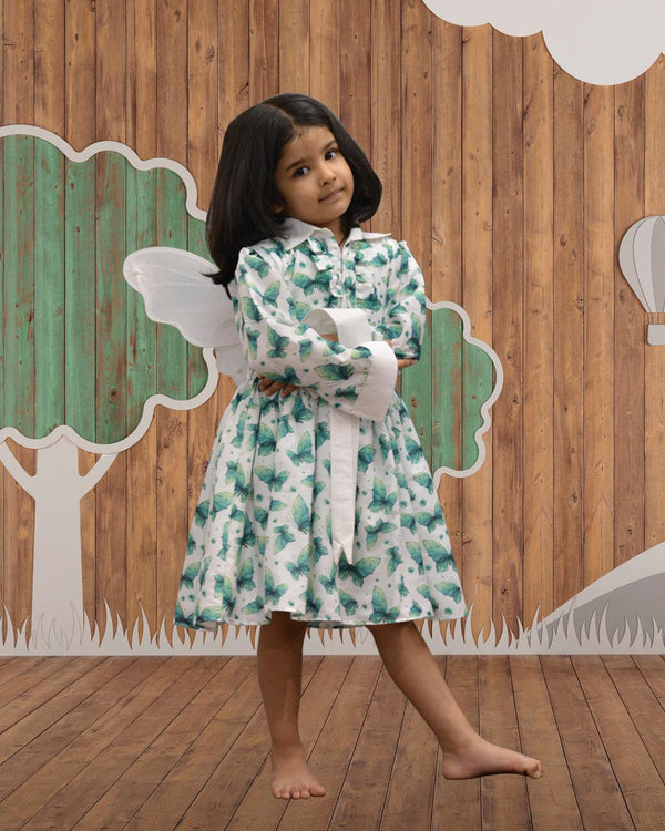 Butterfly Fullsleeves Dress